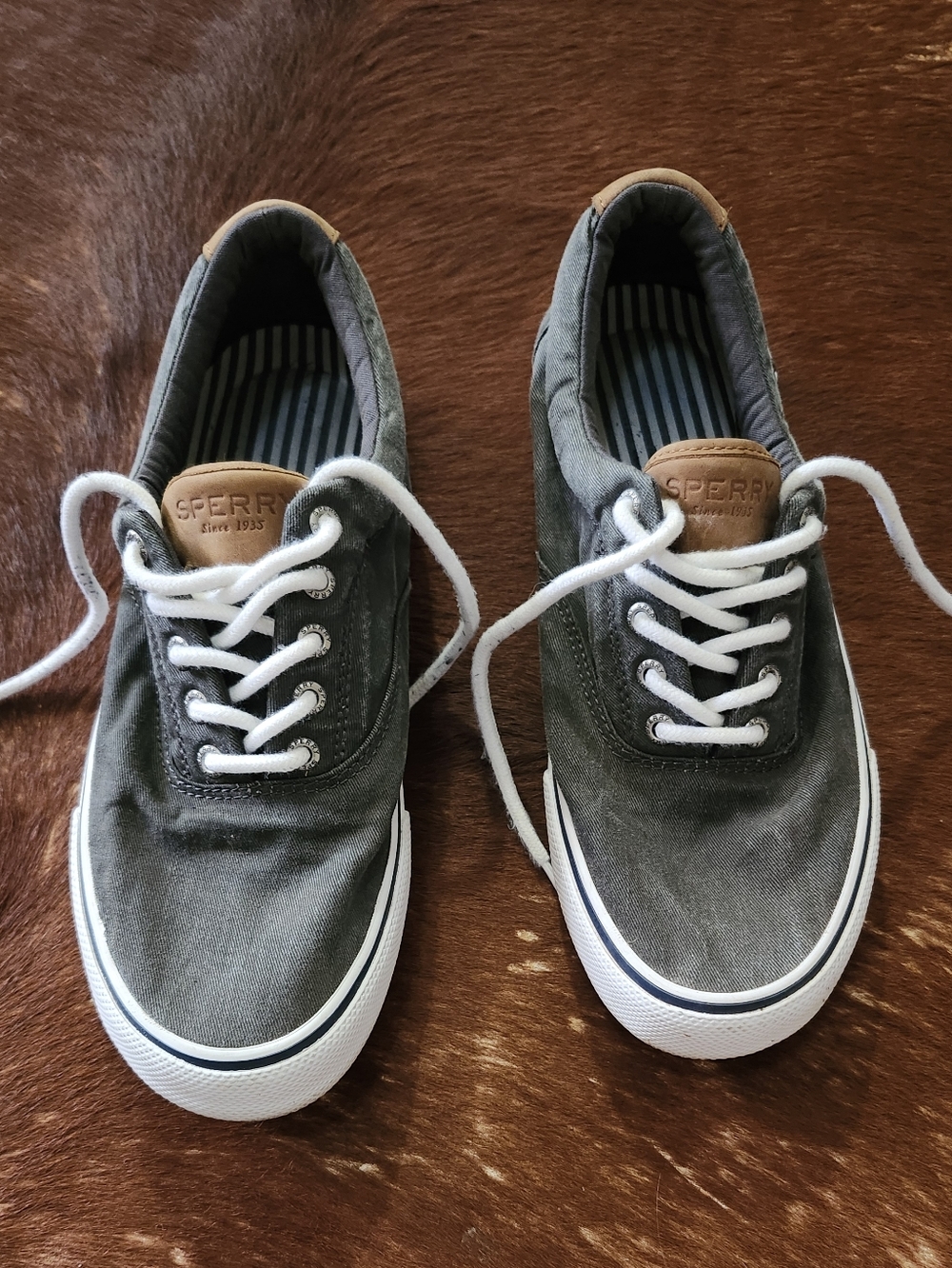 Sperry Men's Canvas Lace-Up Sneakers in Charcoal